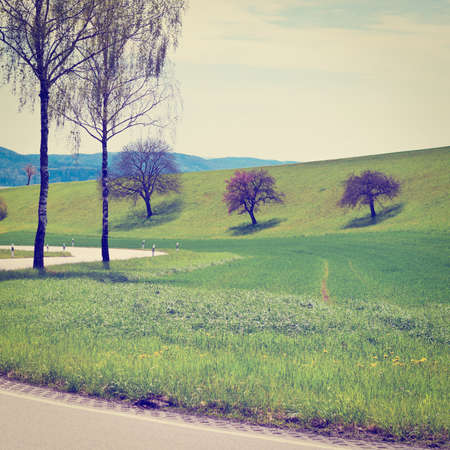 winding paved road in the swiss alpsの写真素材