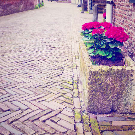 the narrow street in the dutch city of amersfoort,の写真素材