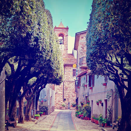 Narrow Alley with Old Buildings in the Italian City of Doglio,の写真素材