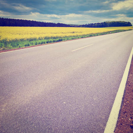 Asphalt Road between Fields of Lucerne in Germany, の写真素材