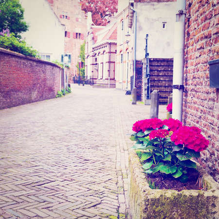 The Narrow Street in the Dutch City of Amersfoort, の写真素材