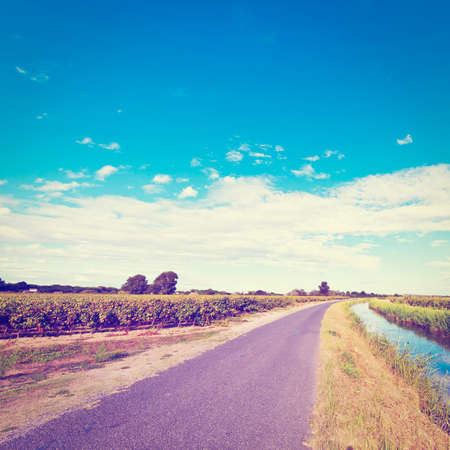 Asphalt  Road and Canal along Vineyards in France, Retro Effectの写真素材