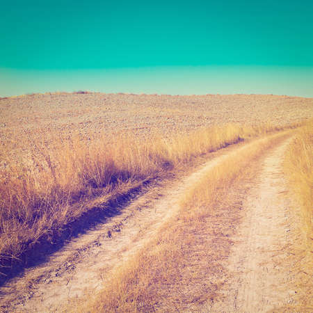 Dirt Road Leading to the Farmhouse in Tuscany, Retro Effectの写真素材