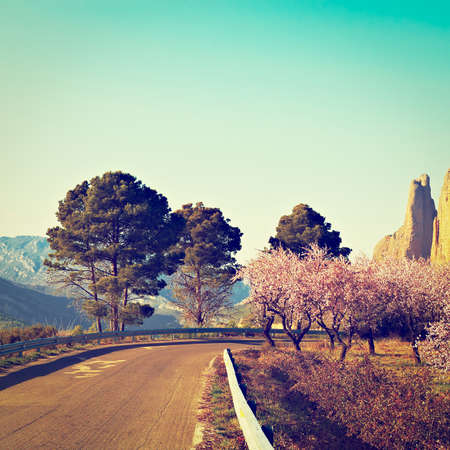 Winding Mountain Road Through the Canyon in Spain, Retro Effectの写真素材