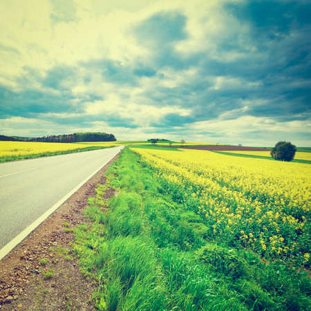 Asphalt Road between Fields of Lucerne in Germany, Retro Effectの写真素材