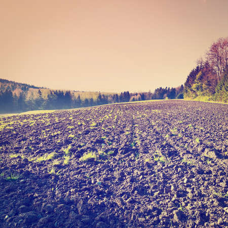 Plowed Fields near the Forest in Swiss Alps, Sunset, Retro Effectの写真素材
