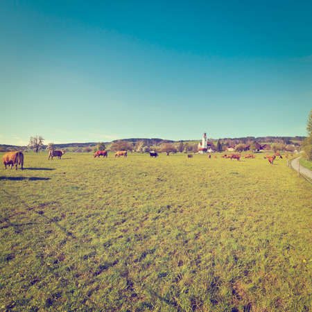 Swiss Village Surrounded by Forests and Pastureの写真素材