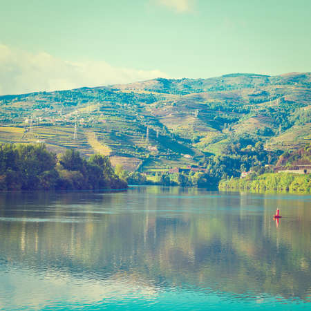 Vineyards in the Valley of the River Douro, Portugalの写真素材