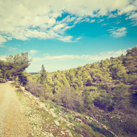 Dirt Road along Canyon in Israelの写真素材