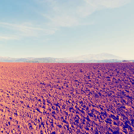 Plowed Sloping Hills of Lazio in the Autumnの写真素材