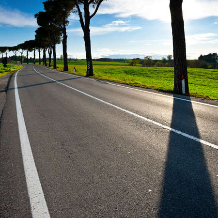 Shade of the Trees on a Paved Road in Tuscany, Italyの写真素材