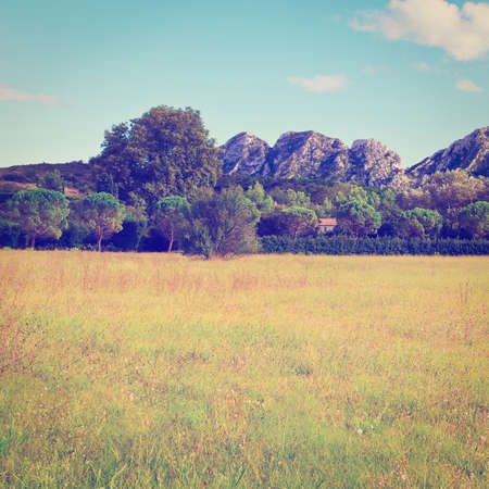 Sunny Meadow in the French Provenceの写真素材