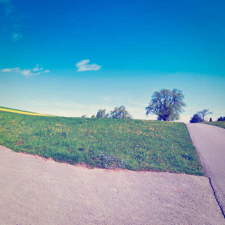 Asphalt Road Leading to the Farmhouse in the Swiss Alpsの写真素材