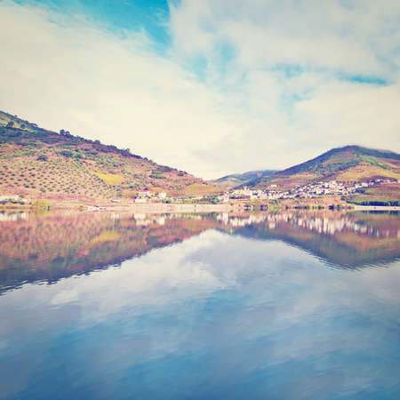 Vineyards in the Valley of the River Douro, Portugalの写真素材