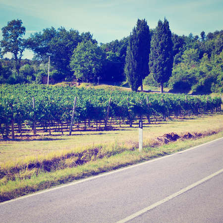  Paved Road in the Tuscany, Italyの写真素材