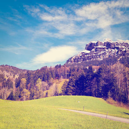 Pasture High Up in the Swiss Alps.の写真素材