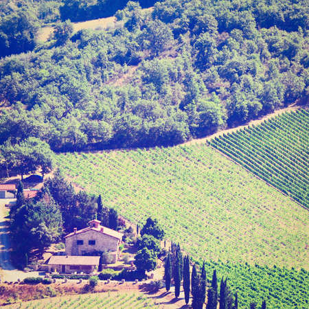 Hill of Tuscany with Vineyard in the Chianti Region.の写真素材