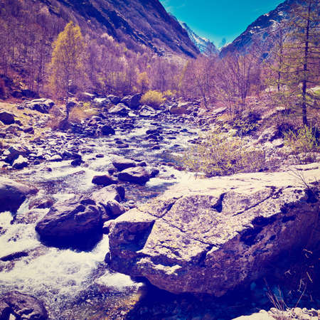 Mountain Stream in the Italian Alps, Piedmont.の写真素材