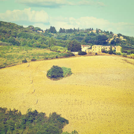 Plowed Sloping Hills of Tuscany in the Autumn.の写真素材