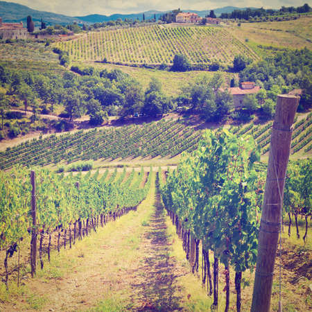 Italian Farmhouse in Tuscany Surrounded by Vineyards and Groves, の写真素材