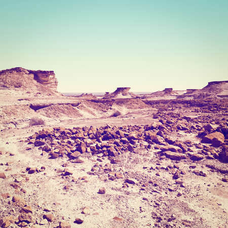 Stony Canyon of the Negev Desert in Israel, の写真素材