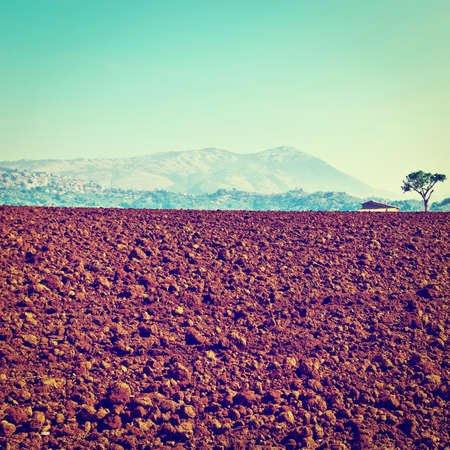 plowed sloping fields of tuscany in the autumn,の写真素材