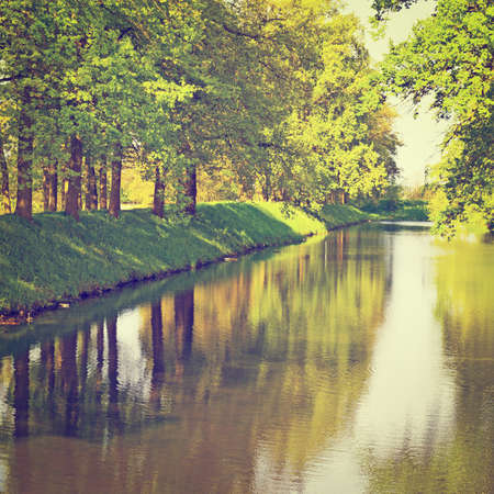 Greenwood on the Canal Bank in the Netherlands, の写真素材