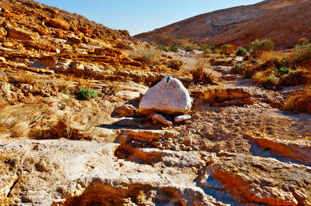 Rocky Hills of the Negev Desert in Israelの写真素材