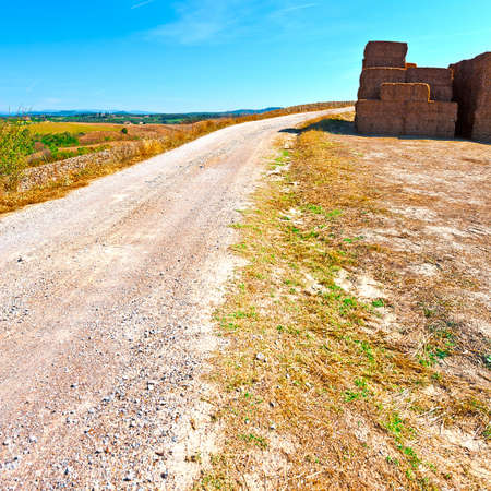 Briquettes of Dry Hay on a Field in Italyの写真素材