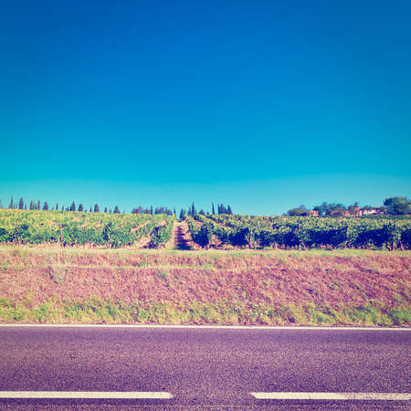 Asphalt Road between Autumn Vineyards in the Tuscanyの写真素材