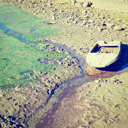 swamp on the shore of atlantic ocean in portugal,の写真素材