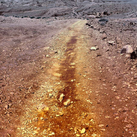 Dirt Road of the Negev Desert in Israel, Vintage Style Toned Picture