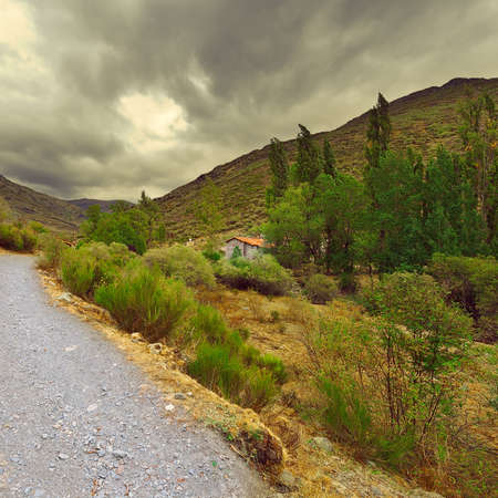 Dirt Road in the Cantabrian Mountains, Spain, Vintage Style Toned Picture
