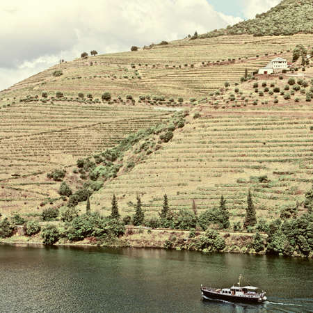 Vineyards in the Valley of the River Douro, Portugal, Vintage Style Toned Pictureの写真素材
