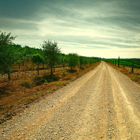 Dirt Road between Hill of Tuscany with Vineyard at Sunset, Vintage Style Toned Pictureの写真素材