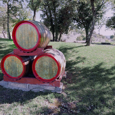 Wine Barrels  on the Hill of Tuscany with Vineyard , Vintage Style Toned Pictureの写真素材
