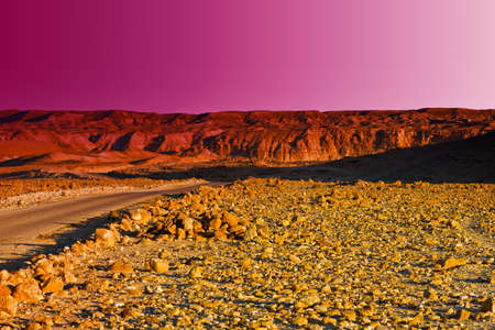 Meandering Road in Sand Hills of Judean Mountains, Sunsetの写真素材