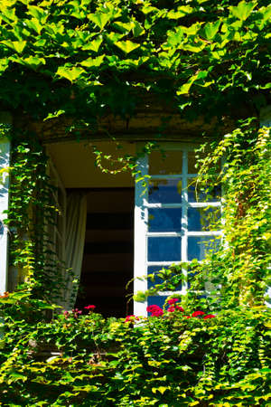 The Window on the Facade of a Stone House Decorated with Wild Vine, Franceの写真素材