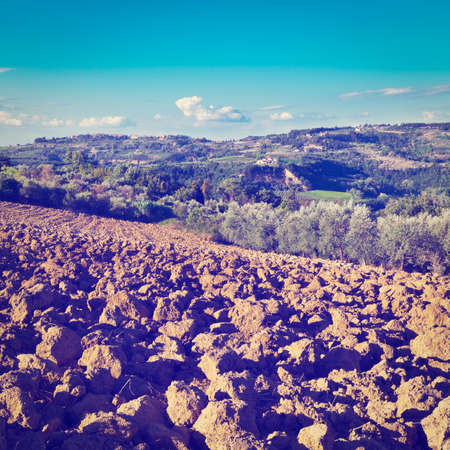 Small Medieval Italian City in Tuscany Surrounded by Plowed Fields, Vineyards and Olive Groves.の写真素材