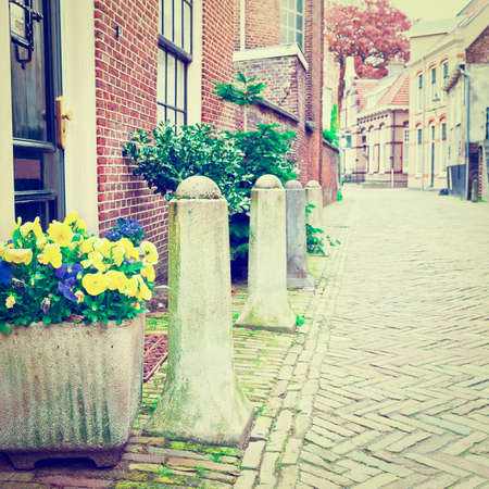 Pansies Adorn The Narrow Street in the Dutch City of Amersfoortの写真素材