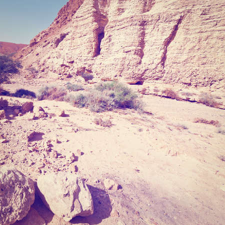 Canyon in the Judean Desert on the West Bank of the Jordan Riverの写真素材
