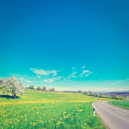 Asphalt Road Leading to the Village in the Swiss Alpsの写真素材