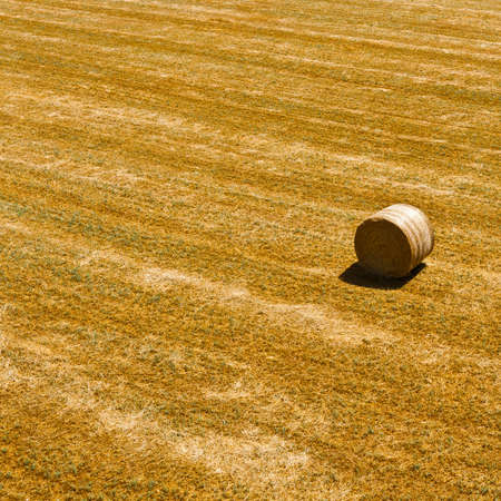 Landscape with Hay Bale