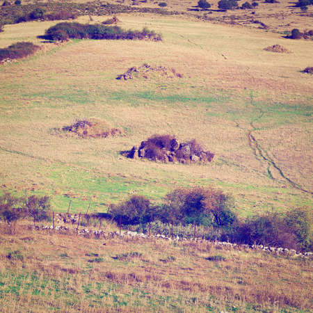 Pasture on the Sloping Hills of Spain in the Autumnの写真素材