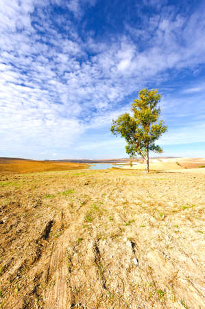 Spanish Landscape with Pond in the Autumnの写真素材