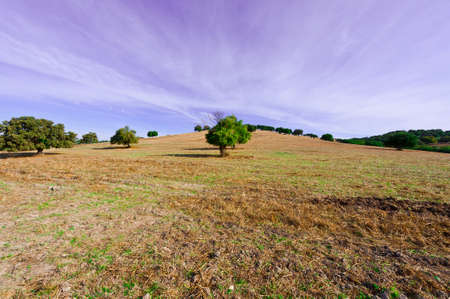 Sloping Pasture of Spain in the Autumnの写真素材