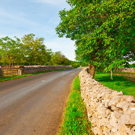 Asphalt Road along the Pasture Divided into Section by the Stone Wallの写真素材