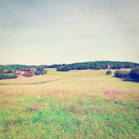 Plantation of Corn near the Small Village in France, Vintage Style Toned Pictureの写真素材