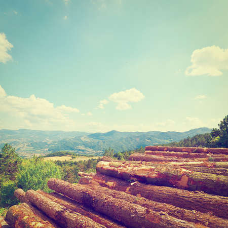 Sawed Firewood Dropped in a Pile on the Background of the Italian Alpsの写真素材