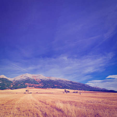 Fields in the Cantabrian Mountain, Spain, Vintage Style Toned Pictureの写真素材